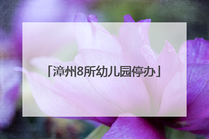 漳州8所幼儿园停办