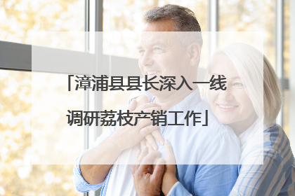 漳浦县县长深入一线调研荔枝产销工作
