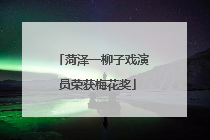 菏泽一柳子戏演员荣获梅花奖
