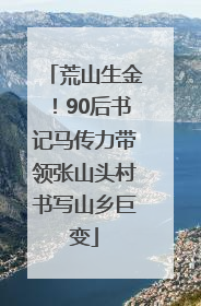 荒山生金！90后书记马传力带领张山头村书写山乡巨变