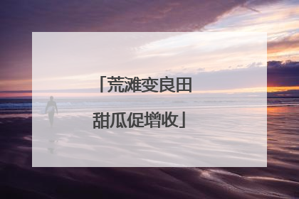 荒滩变良田 甜瓜促增收