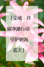 荣成：开展净滩行动 守护碧海蓝天