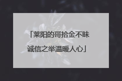 莱阳的哥拾金不昧 诚信之举温暖人心