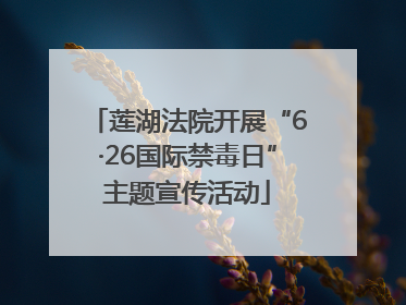 莲湖法院开展“6·26国际禁毒日”主题宣传活动