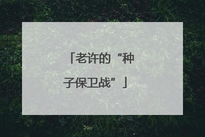 老许的“种子保卫战”