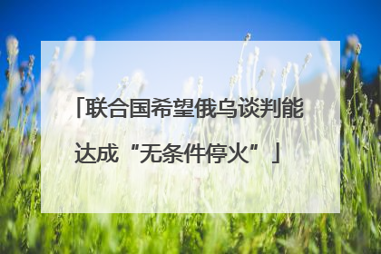 联合国希望俄乌谈判能达成“无条件停火”