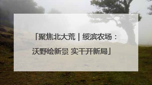 聚焦北大荒｜绥滨农场：沃野绘新景 实干开新局