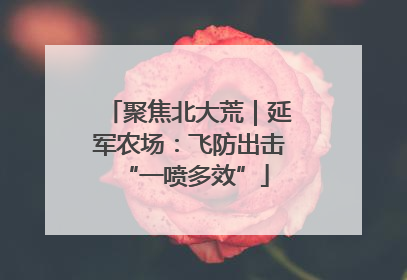 聚焦北大荒｜延军农场：飞防出击 “一喷多效”