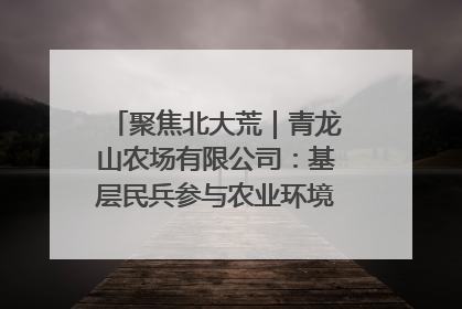 聚焦北大荒｜青龙山农场有限公司：基层民兵参与农业环境综合治理显效