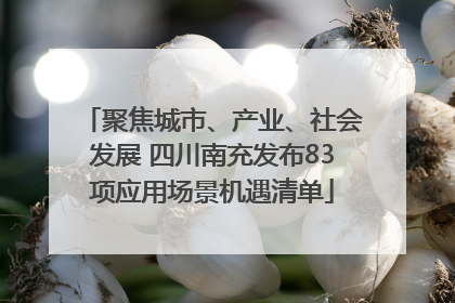 聚焦城市、产业、社会发展 四川南充发布83项应用场景机遇清单