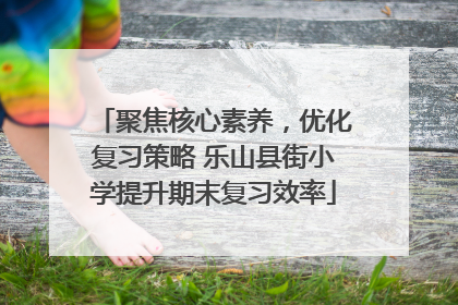 聚焦核心素养，优化复习策略 乐山县街小学提升期末复习效率