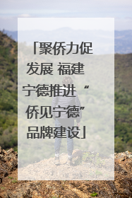 聚侨力促发展 福建宁德推进“侨见宁德”品牌建设