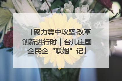 聚力集中攻坚·改革创新进行时｜台儿庄国企民企“联姻”记