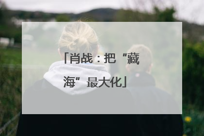 肖战：把“藏海”最大化