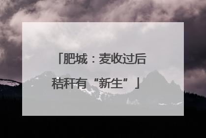 肥城：麦收过后秸秆有“新生”