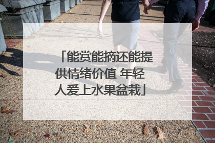 能赏能摘还能提供情绪价值 年轻人爱上水果盆栽