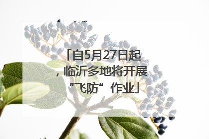 自5月27日起，临沂多地将开展“飞防”作业