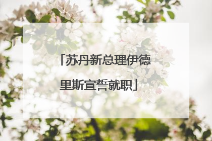 苏丹新总理伊德里斯宣誓就职