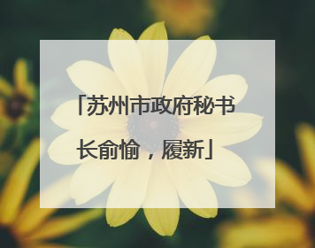 苏州市政府秘书长俞愉，履新