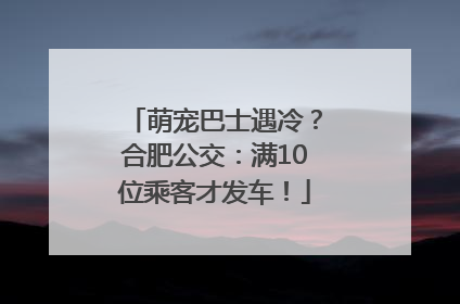 萌宠巴士遇冷？合肥公交：满10位乘客才发车！