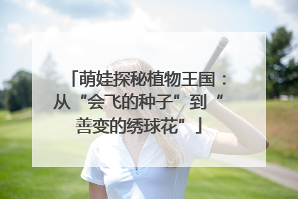 萌娃探秘植物王国：从“会飞的种子”到“善变的绣球花”