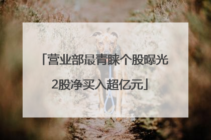 营业部最青睐个股曝光 2股净买入超亿元