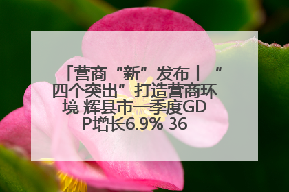 营商“新”发布丨“四个突出”打造营商环境 辉县市一季度GDP增长6.9% 36个重点项目落地