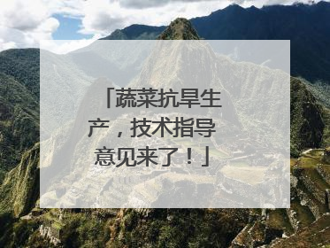 蔬菜抗旱生产，技术指导意见来了！