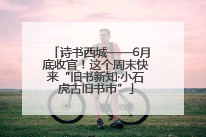 诗书西城——6月底收官！这个周末快来“旧书新知·小石虎古旧书市”