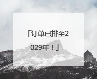 订单已排至2029年！