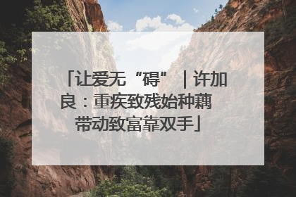 让爱无“碍”｜许加良：重疾致残始种藕 带动致富靠双手