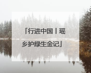 行进中国丨瑶乡护绿生金记