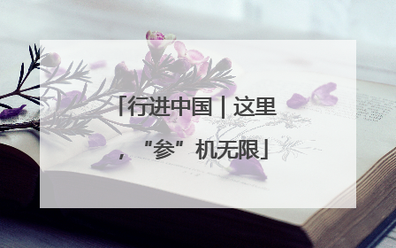行进中国｜这里，“参”机无限