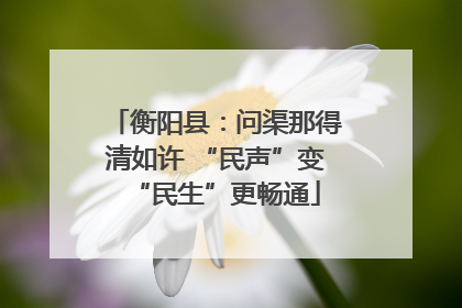 衡阳县：问渠那得清如许 “民声”变“民生”更畅通