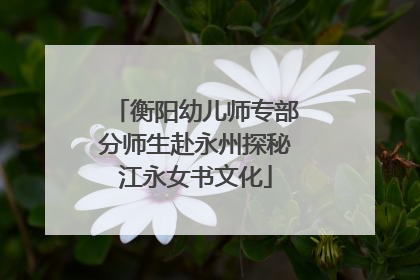 衡阳幼儿师专部分师生赴永州探秘江永女书文化