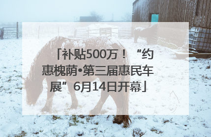 补贴500万！“约惠槐荫•第三届惠民车展”6月14日开幕