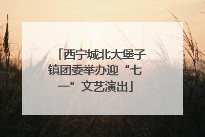 西宁城北大堡子镇团委举办迎“七一”文艺演出
