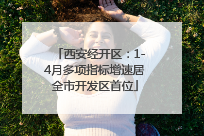 西安经开区：1-4月多项指标增速居全市开发区首位