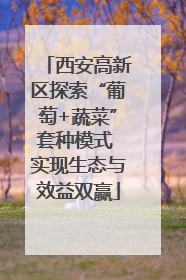 西安高新区探索“葡萄+蔬菜”套种模式 实现生态与效益双赢