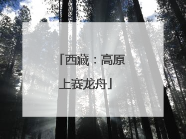 西藏：高原上赛龙舟