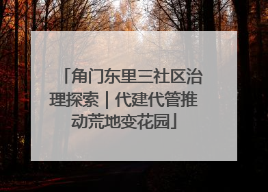 角门东里三社区治理探索｜代建代管推动荒地变花园