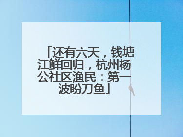 还有六天，钱塘江鲜回归，杭州杨公社区渔民：第一波盼刀鱼