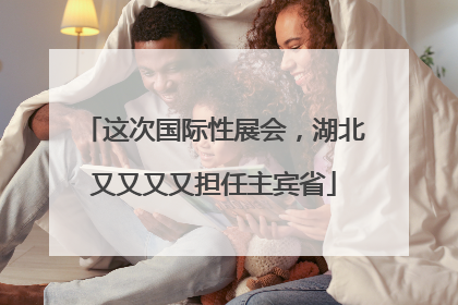 这次国际性展会，湖北又又又又担任主宾省