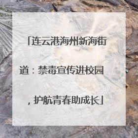 连云港海州新海街道：禁毒宣传进校园，护航青春助成长