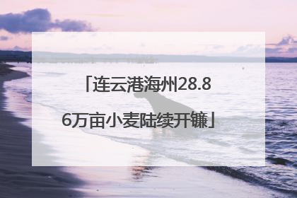 连云港海州28.86万亩小麦陆续开镰