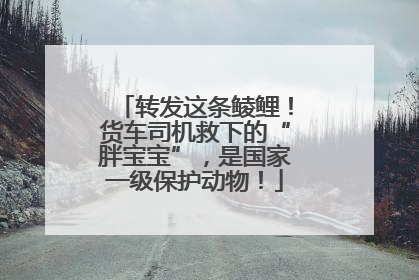 转发这条鲮鲤！货车司机救下的“胖宝宝”，是国家一级保护动物！