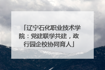 辽宁石化职业技术学院：党建联学共建，政行园企校协同育人
