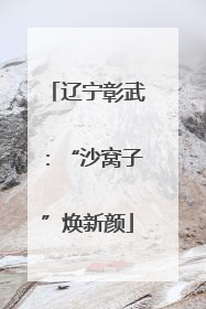 辽宁彰武：“沙窝子”焕新颜