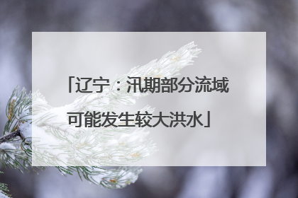 辽宁：汛期部分流域可能发生较大洪水