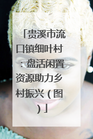 贵溪市流口镇细叶村：盘活闲置资源助力乡村振兴（图）